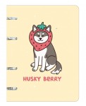 Тетрадь на кольцах "Husky ", А5, 100 листов