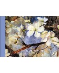 Альбомы для рисования "Нежные цветы", 30 листов