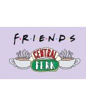 Кардхолдер. Friends (в форме книжки, 215х65 мм)