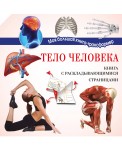 Тело человека