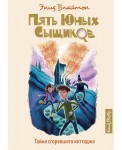 Тайна сгоревшего коттеджа. Книга 1