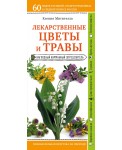 Лекарственные цветы и травы. Наглядный карманный определитель