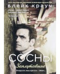 Сосны. Заплутавшие