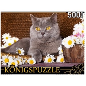 Пазлы "Konigspuzzle. Британский кот и ромашки", 500 элементов