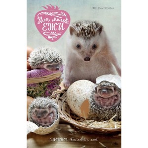 Блокнот для людей и ежей "Мои милые ежи"