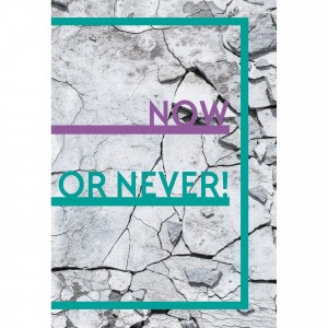 Ежедневник недатированный "Now or never", А5, 128 листов