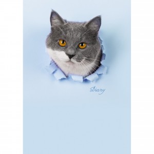 Ежедневник недатированный "Привет!", А6+, 128 листов