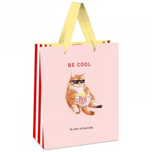 Пакет подарочный "Be cool", 11*14*6,5 см