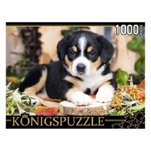 Пазлы "Konigspuzzle. Щенок швейцарского зенненхунда", 1000 элементов