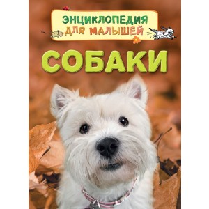 Собаки