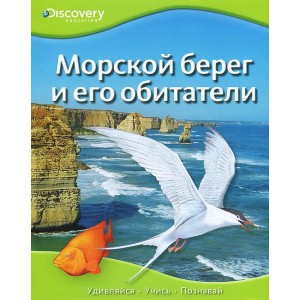 Морской берег и его обитатели