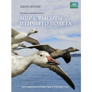 Мир с высоты птичьего полета