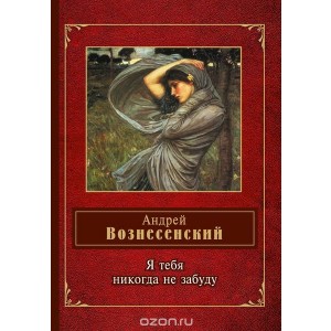 Я тебя никогда не забуду