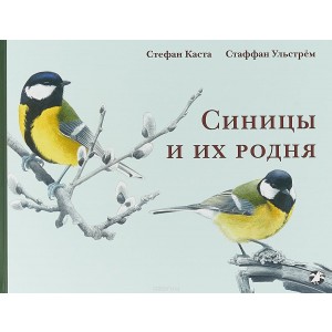 Синицы и их родня
