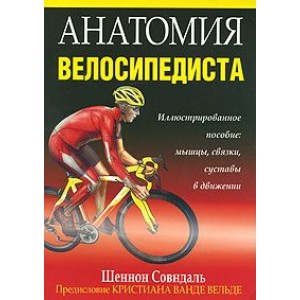 Анатомия велосипедиста