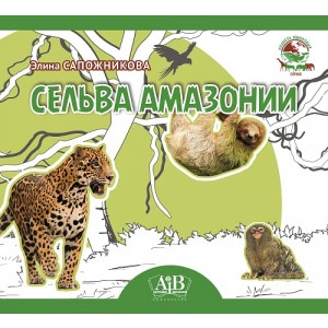 Сельва Амазонии