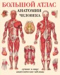 Большой атлас анатомии человека. Лучшие в мире анатомические таблицы