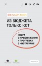 Из бюджета только кот. Книга о продвижении и прогревах в инстаграме