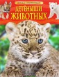 Детеныши животных. Детская энциклопедия
