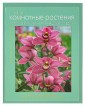 КнигДЦвет/Лучшие комнатные растения. Иллюстрированная энциклопедия