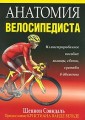 Анатомия велосипедиста